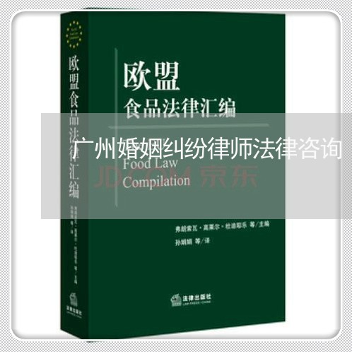 广东省婚姻财产律师咨询，解析婚姻财产法律问题