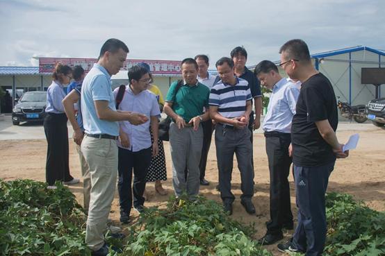 广东省陆丰市，历史底蕴与现代魅力的交融之地