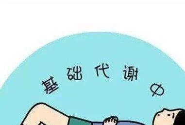 减脂要几个月，持久战中的健康追求