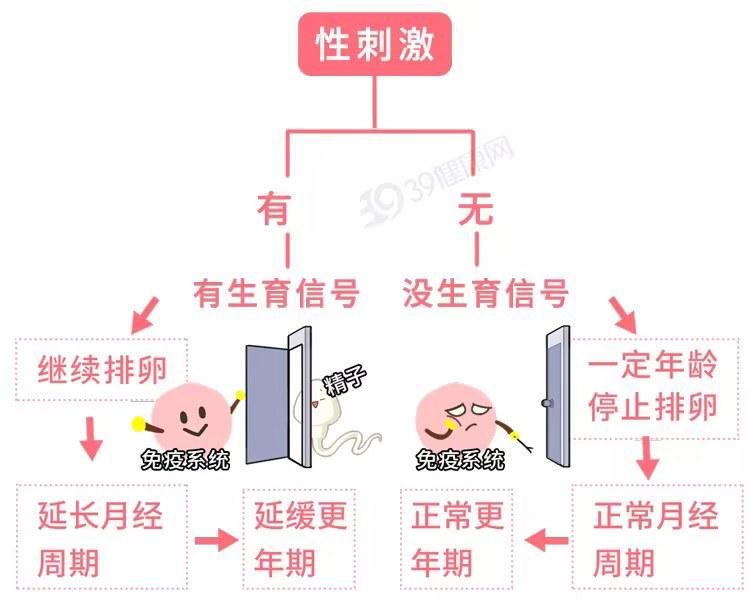 女人一个月来几次月经，深度解析月经周期与女性健康